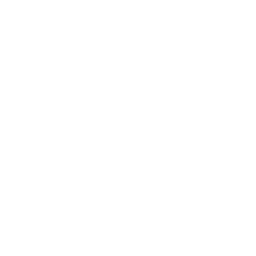 Link icon